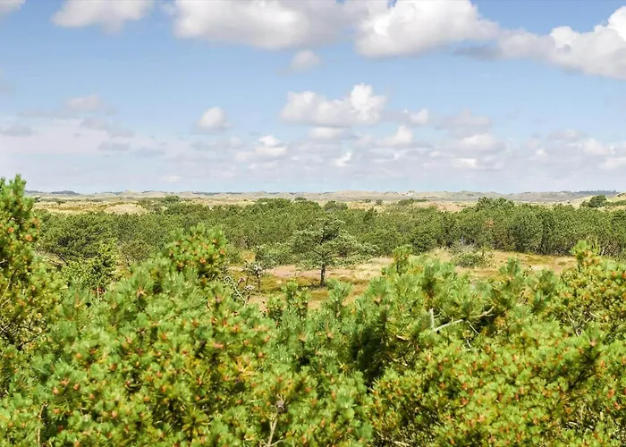 Hébergement de vacances Bv387-blavand-hedetoftvej-14 *